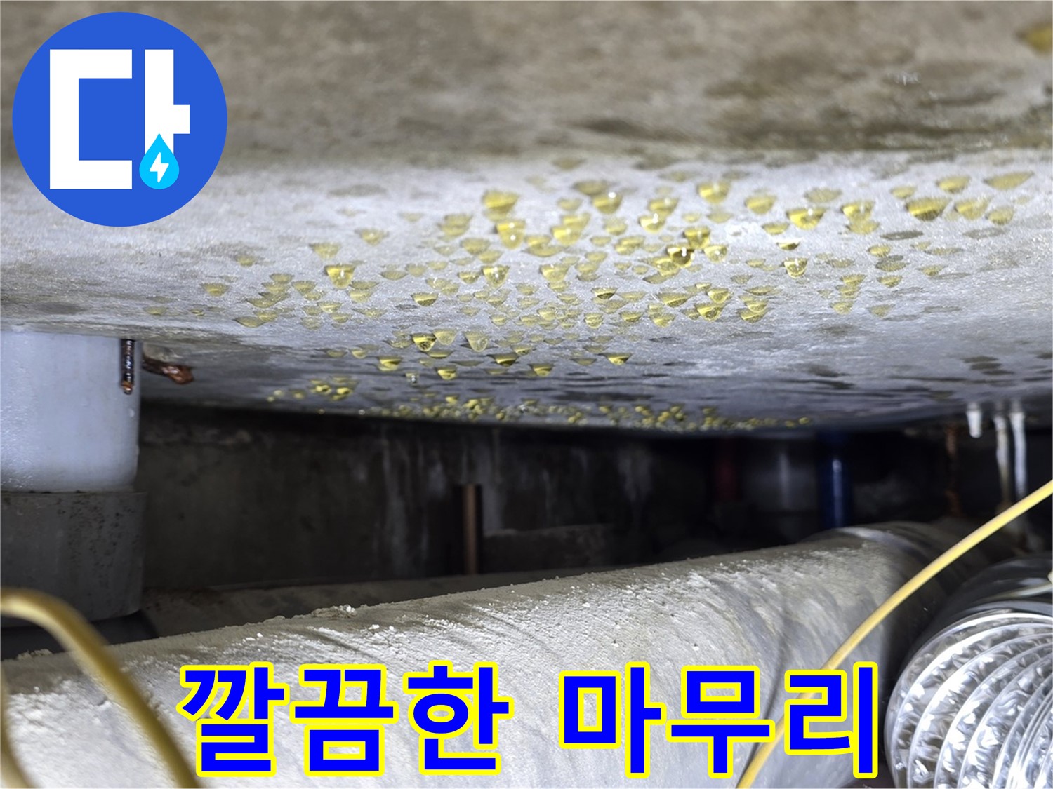 능동 아성빌라트 천장 누수 - 누수 해결 후 깔끔한 마무리 - 고객 만족