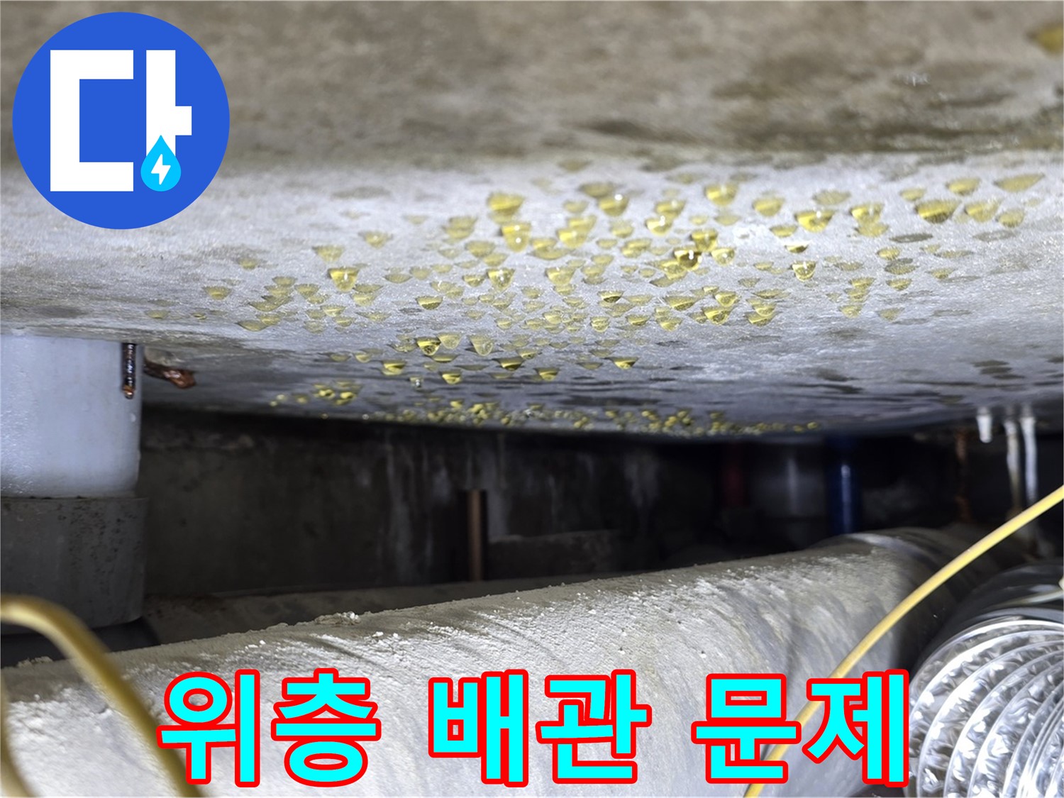능동 아성빌라트 천장 누수 - 위층 배관 문제로 인한 누수 의심