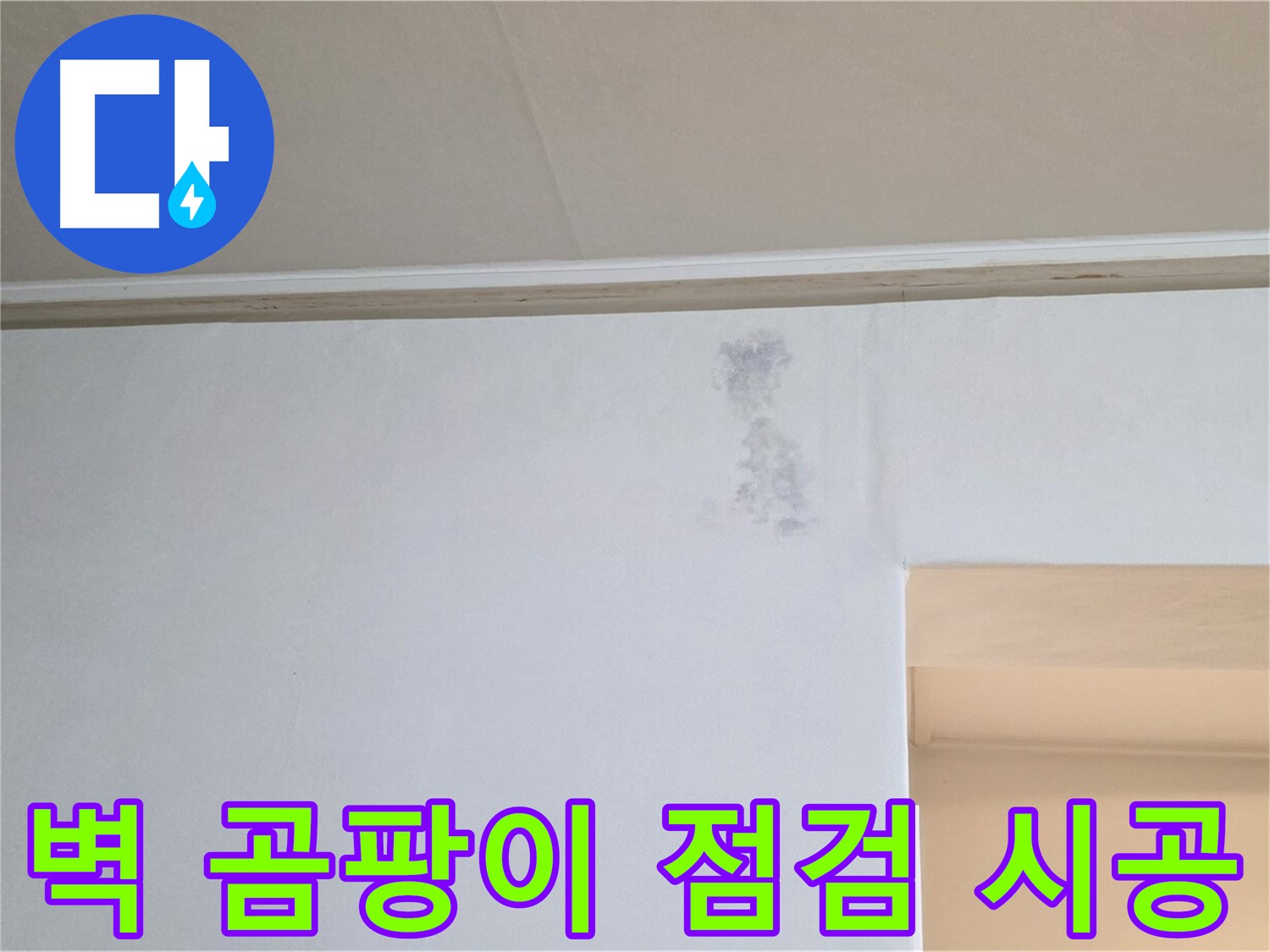 벽 곰팡이 - 꼼꼼한 점검과 확실한 시공으로 곰팡이 문제를 해결합니다.