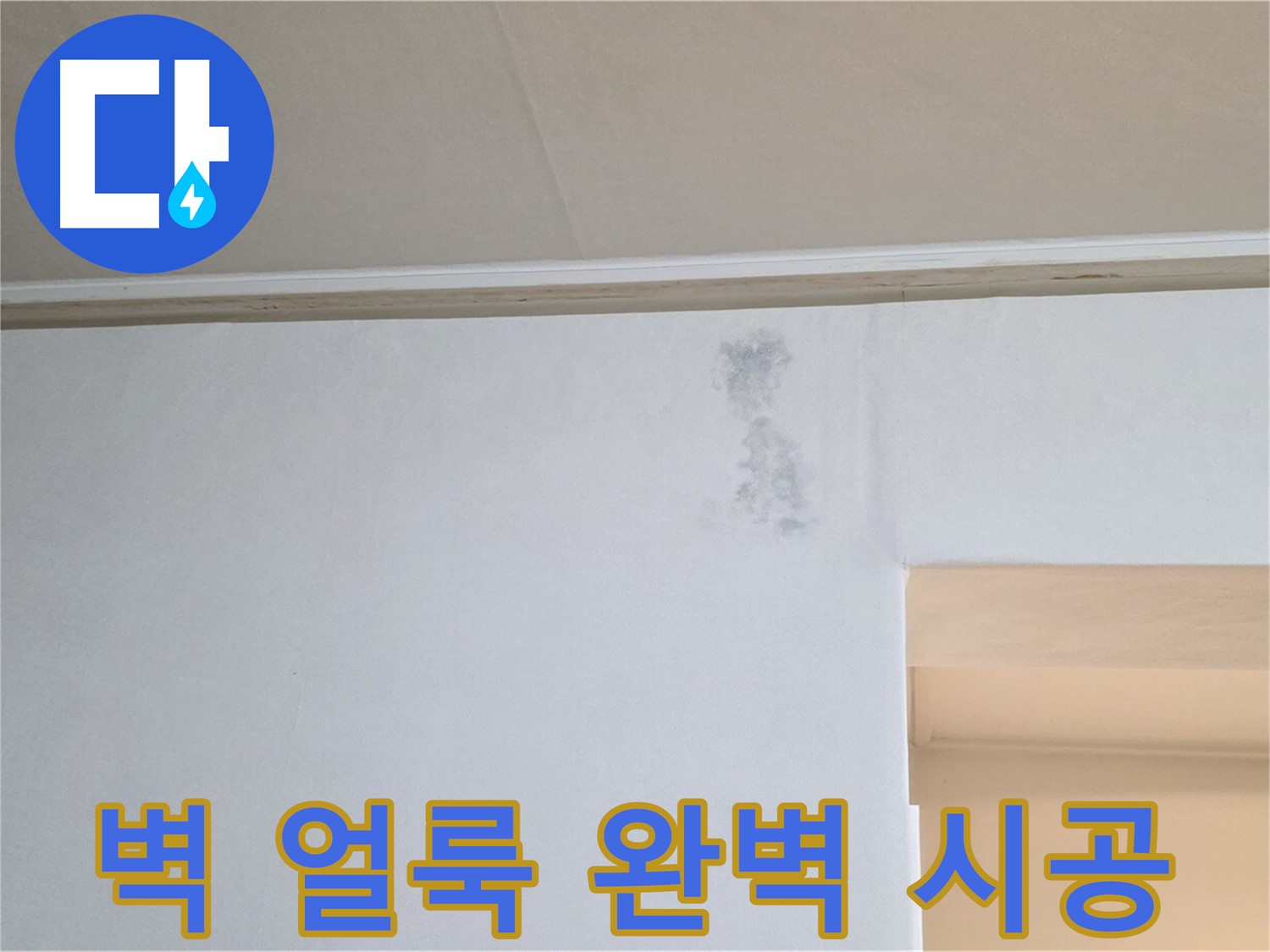 벽 얼룩 - 재발 없는 완벽 시공으로 얼룩 문제를 해결합니다.