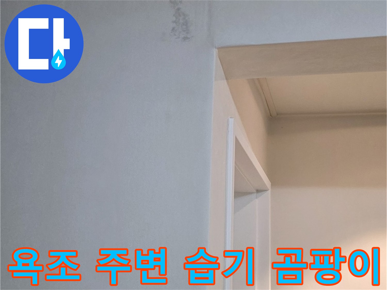 욕조 주변의 습기 - 습기는 곰팡이 발생을 암시하며, 누수와 관련될 수 있습니다.
