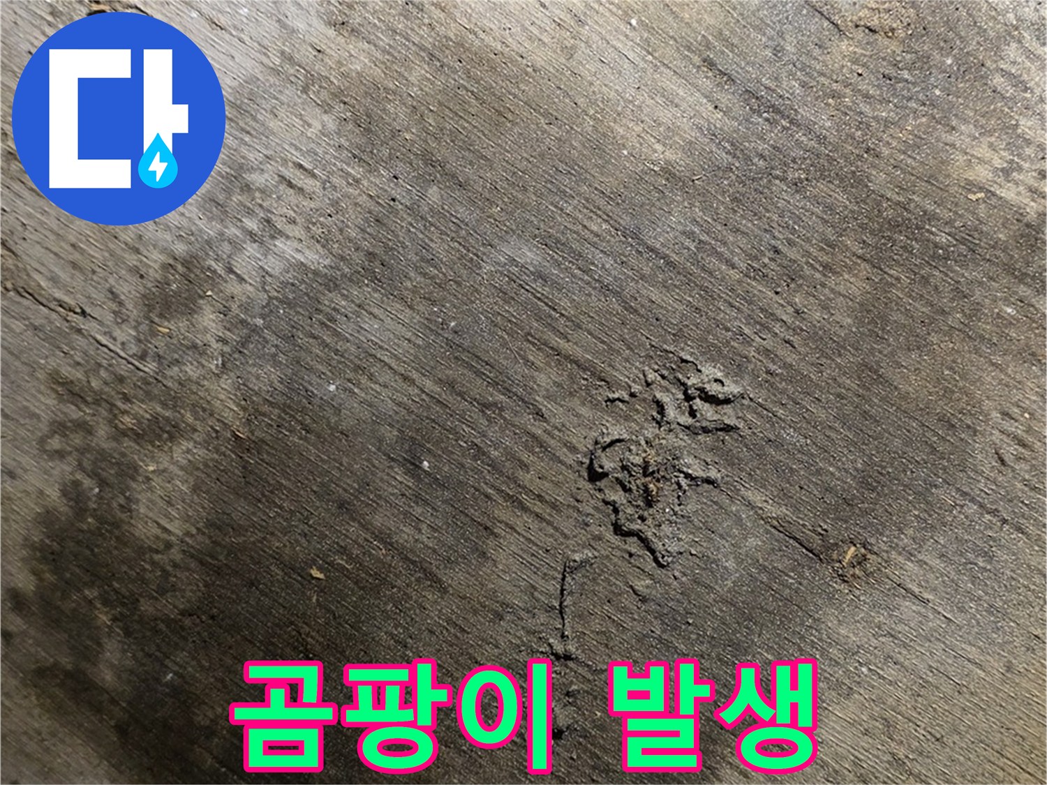 곰팡이 발생 - 누수로 인해 곰팡이가 생긴 벽면을 보여줍니다 - 건강에 해로울 수 있습니다.