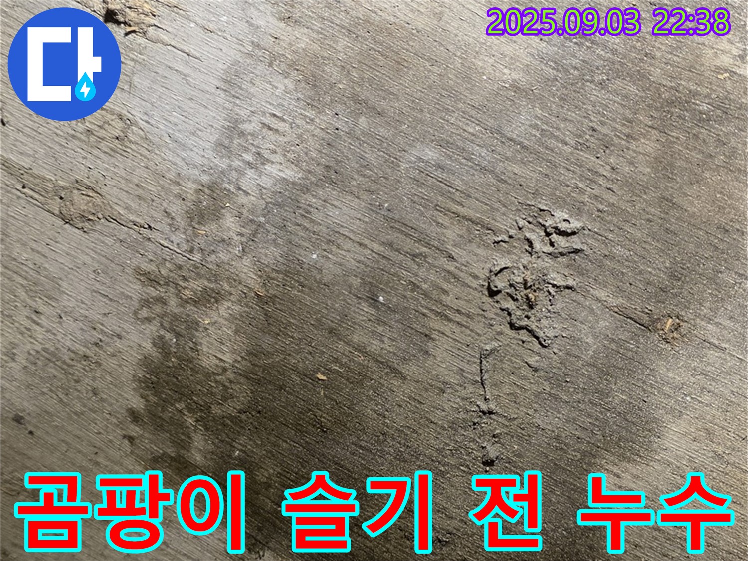 한강로2가 누수 - 콘크리트 표면에 곰팡이가 피기 직전의 모습 - 누수의 위험성을 경고합니다.