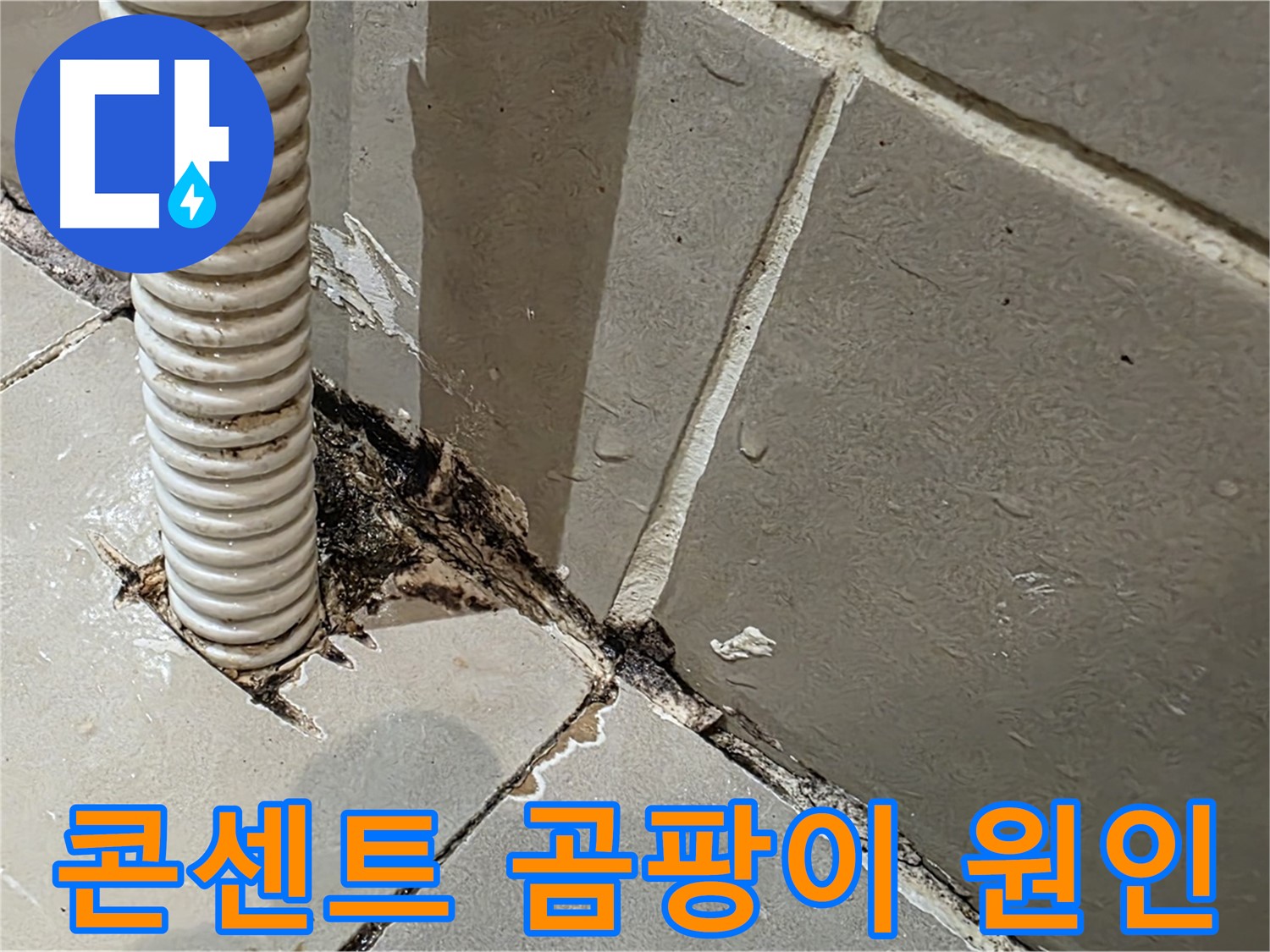 한강로2가 상가 누수 - 콘센트 배관 주변 곰팡이 원인 파악 및 해결