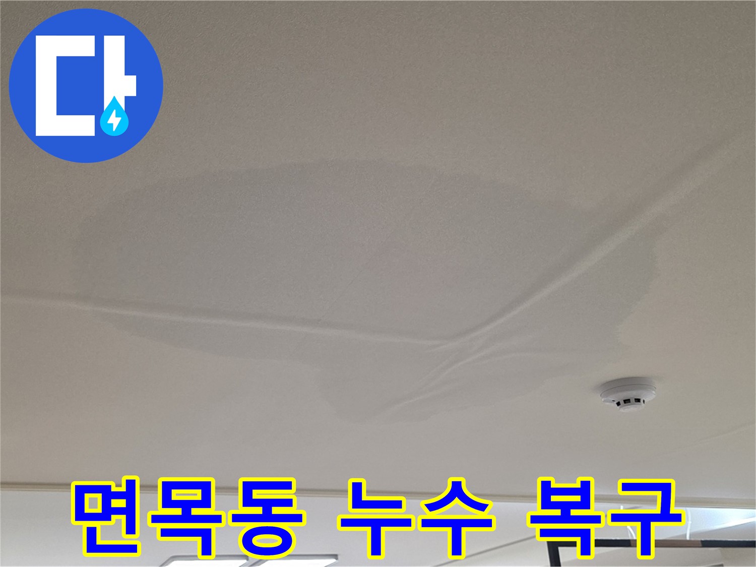 면목동 아파트 천장 누수 - 넓은 물 얼룩 - 피해 최소화 및 복구
