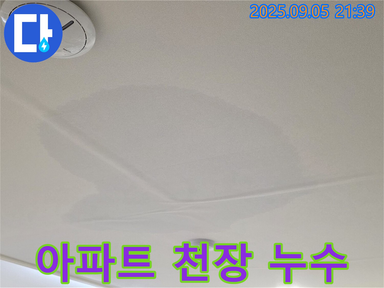 사가정 센트럴아이파크 아파트 천장 누수 - 누수 전문가의 정확한 진단과 꼼꼼한 시공 과정