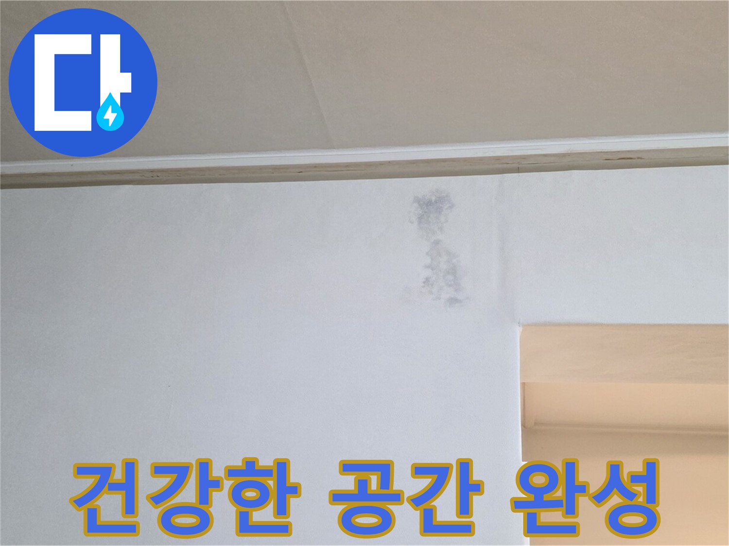 곰팡이 꽃 없는 건강한 공간 - 행복한 삶으로 초대