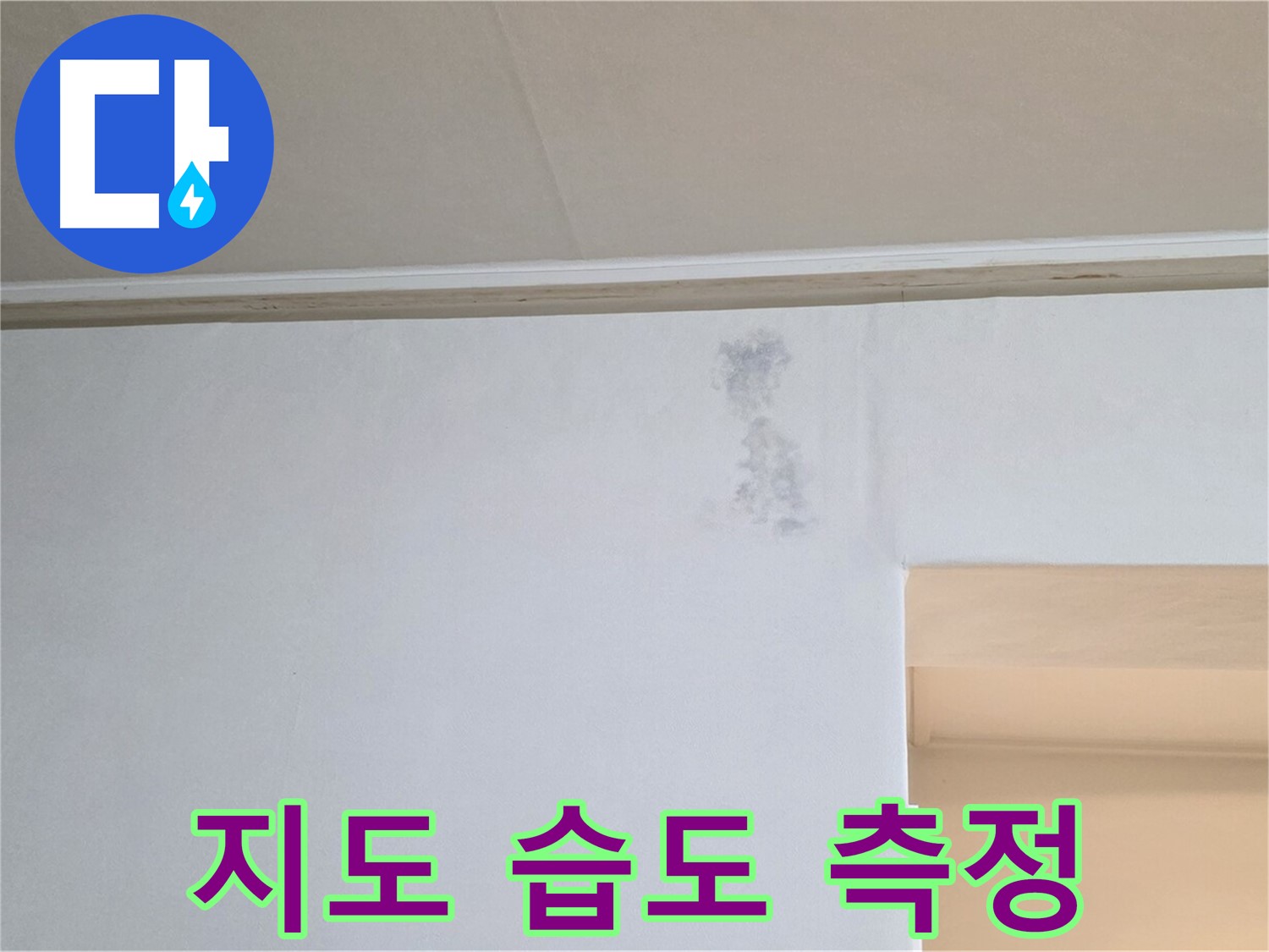 곰팡이 지도 습도 측정 - 누수 & 곰팡이 정밀 과학 수사