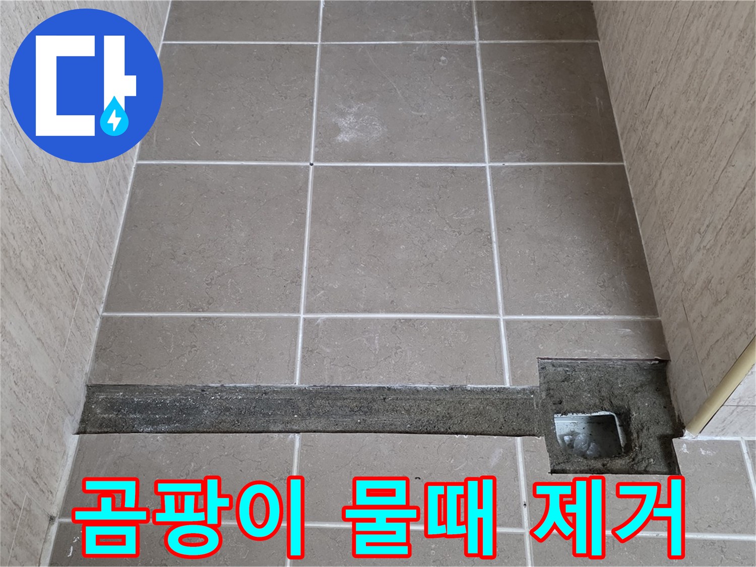 곰팡이와 물때 제거 - 완벽 시공 준비 완료