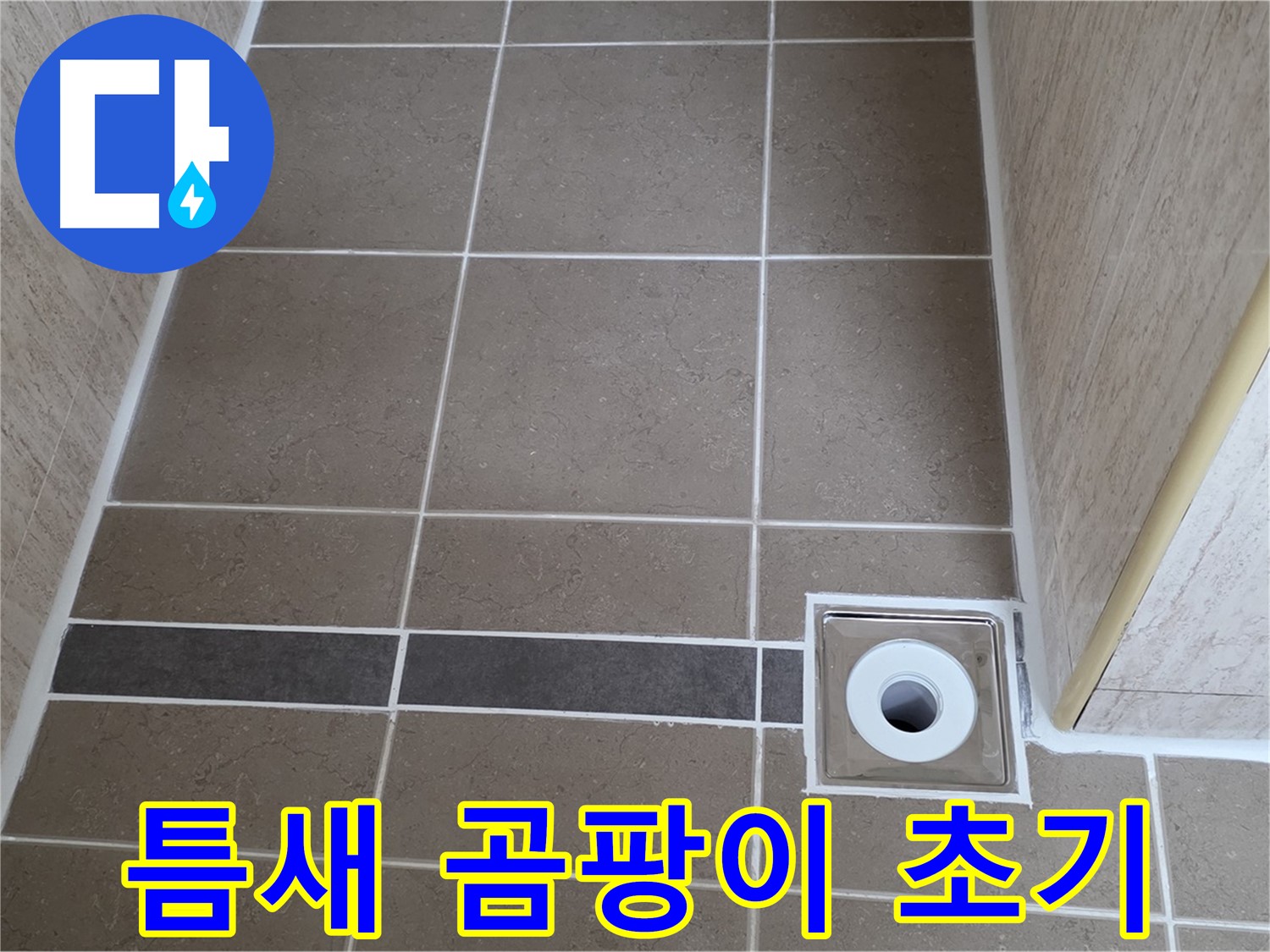 배수구 주변 타일 틈새 - 곰팡이 초기 발견