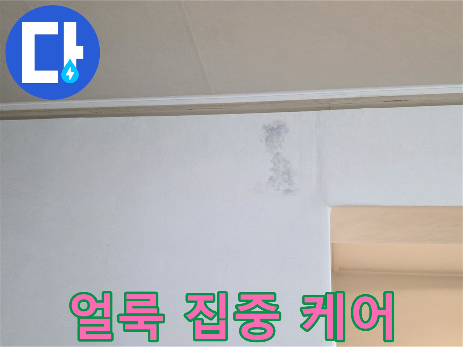 벽 그림자 얼룩 집중 케어 - 맞춤 솔루션 제공