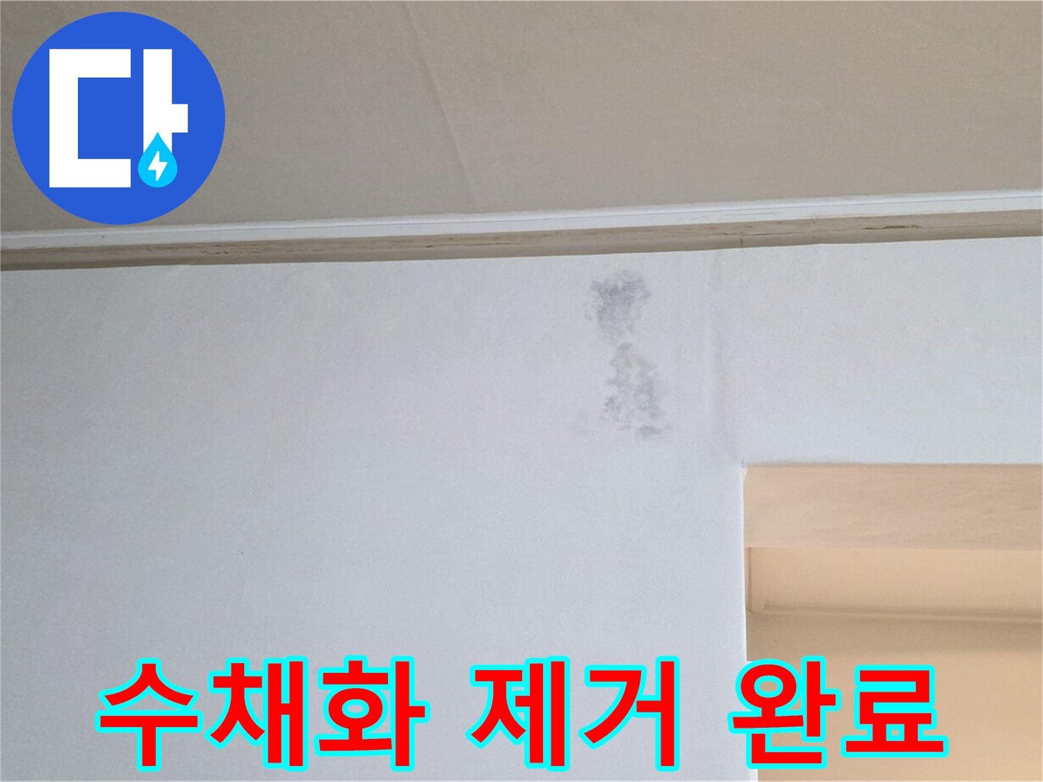 벽 수채화 제거 - 깨끗한 새 벽 완성
