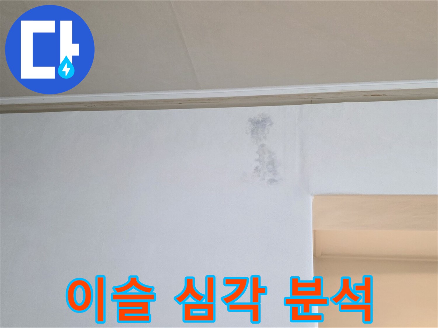 벽 이슬 심각 - 원인 분석 및 맞춤 해결책 제시