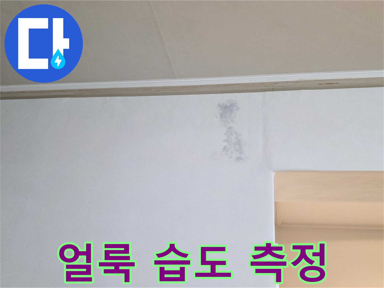 수채화 얼룩 습도 측정 - 누수 & 곰팡이 정밀 검사