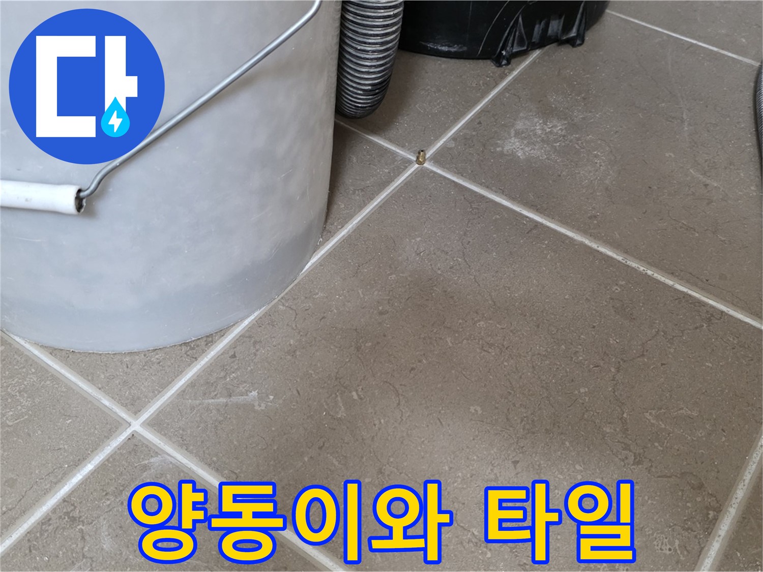 양동이 옆 타일 바닥 - 젖어있는 바닥은 누수의 흔적입니다.