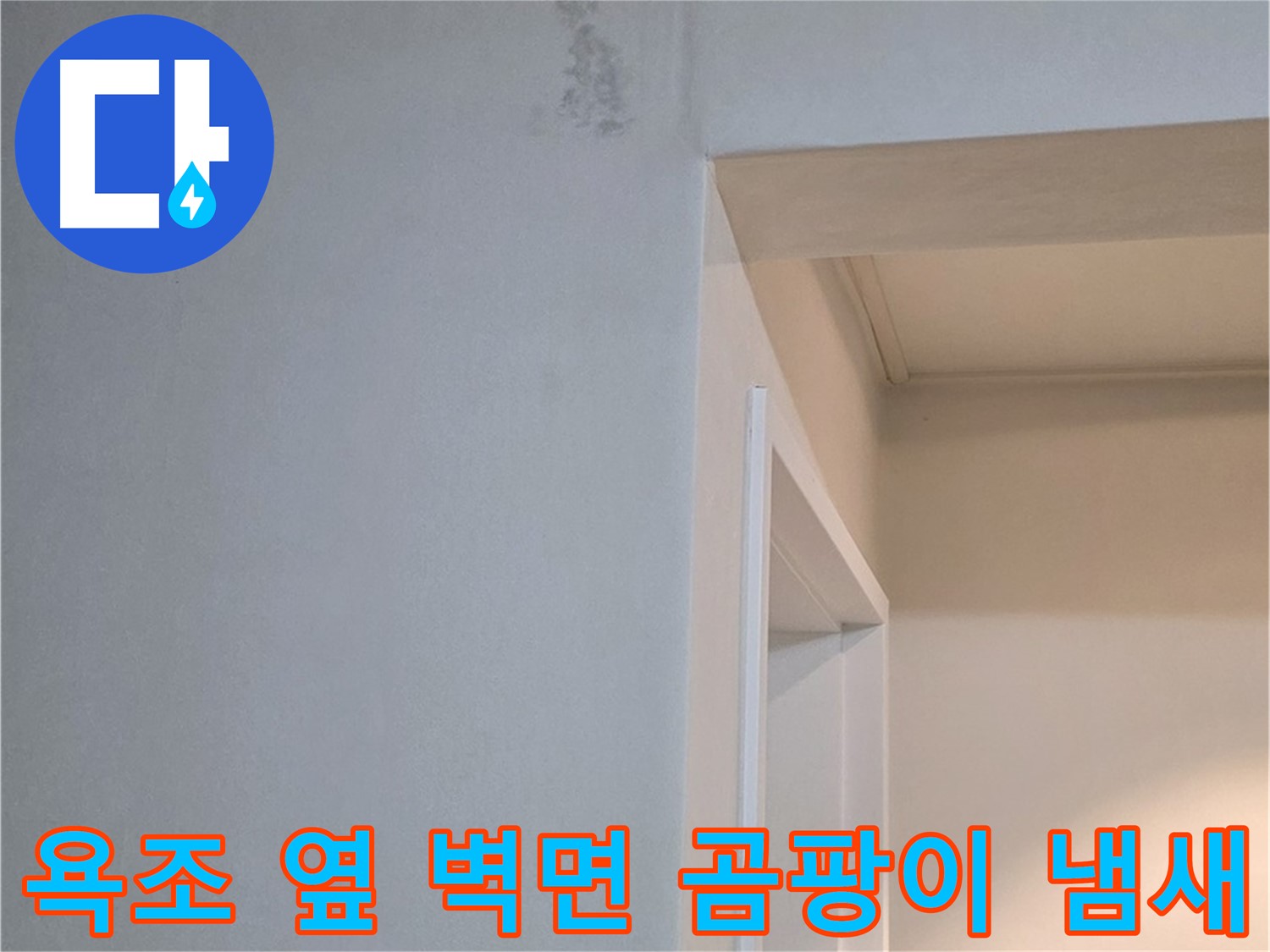 일동 기산리 아파트 욕조 옆 벽면 곰팡이 냄새 - 누수 원인 진단 및 곰팡이 제거