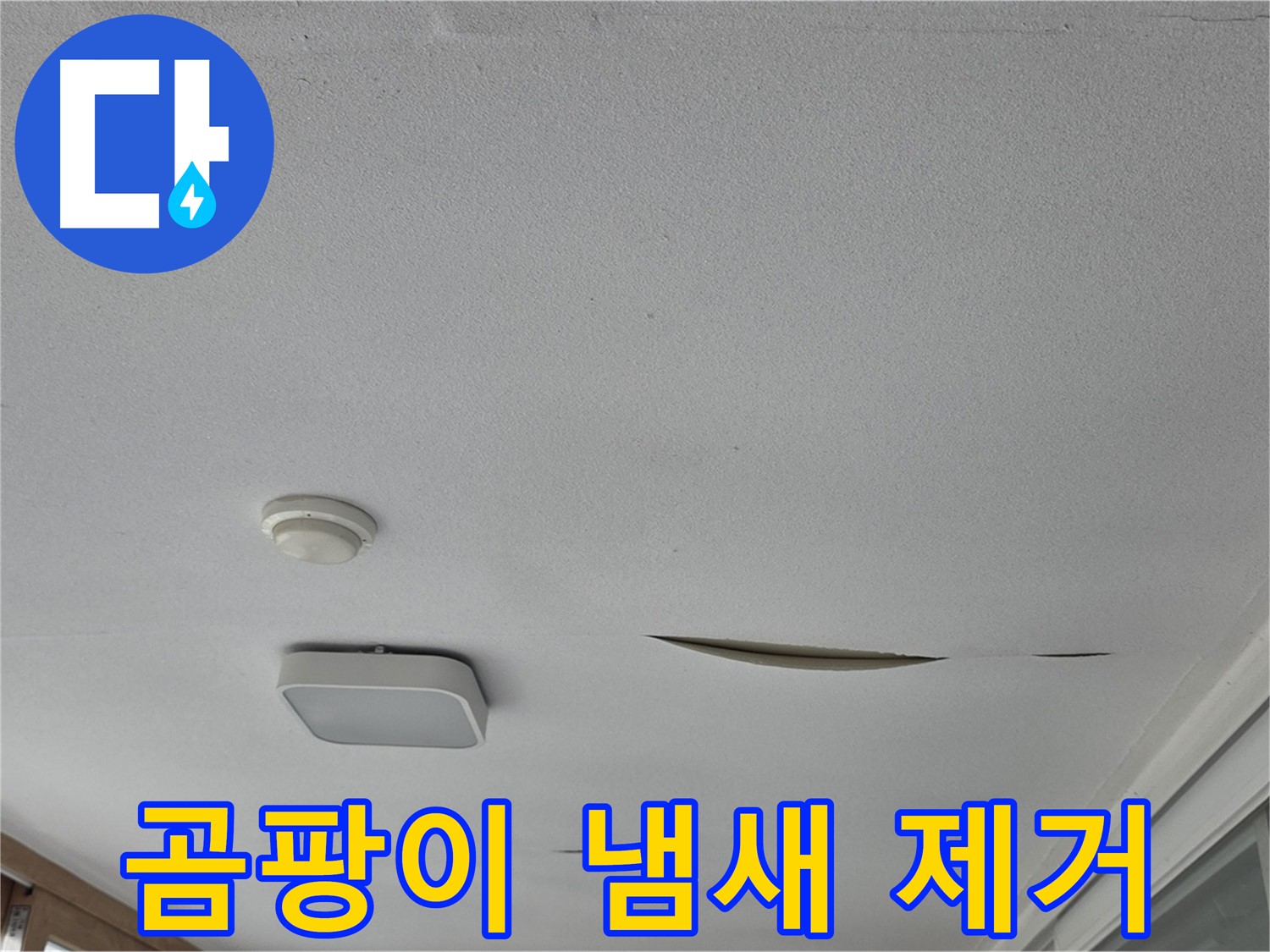 일동 아파트 천장 누수 - 석고보드 곰팡이 냄새 제거