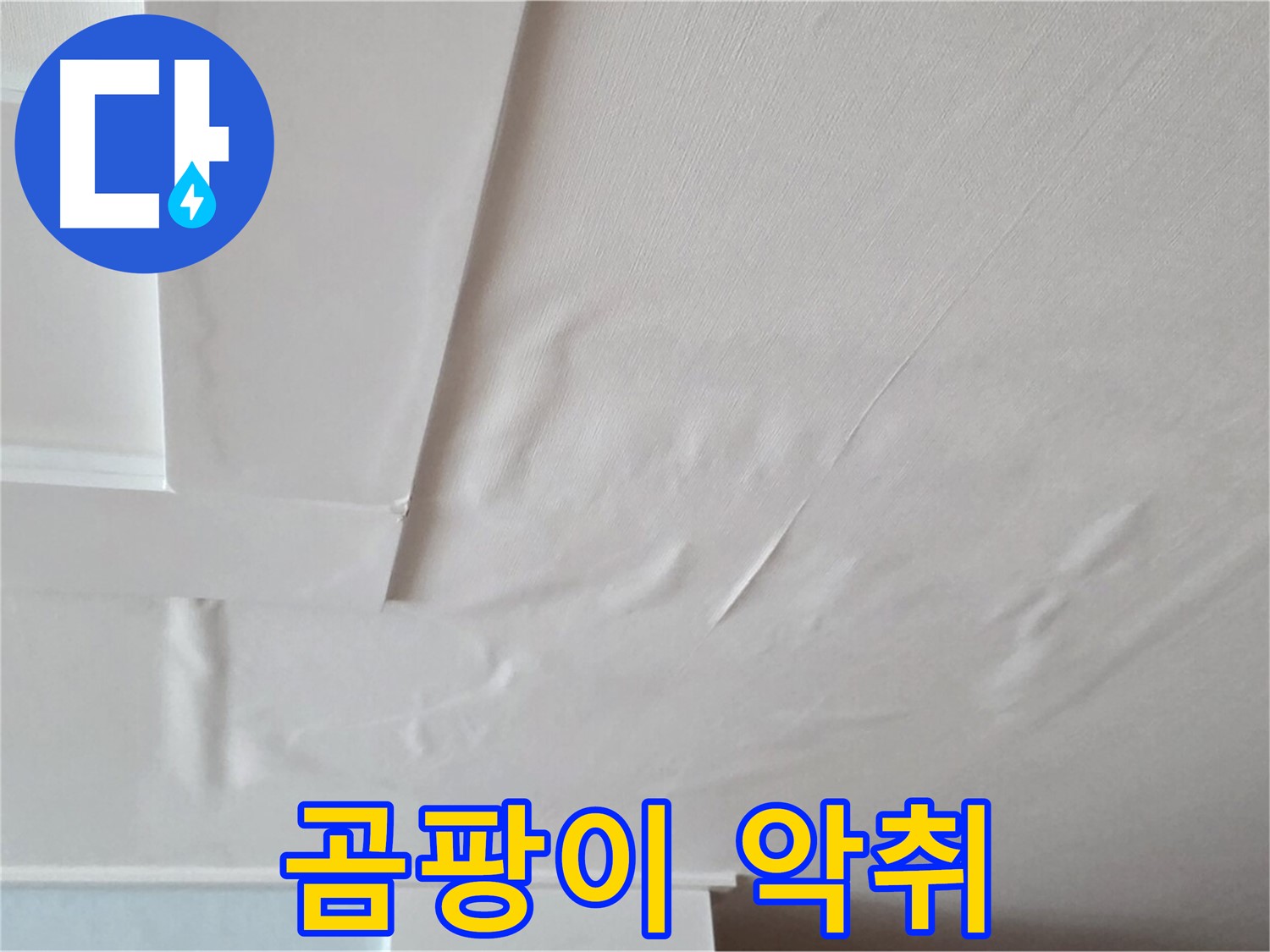 일동기산베스트빌 아파트 천장 누수 - 곰팡이와 악취 발생