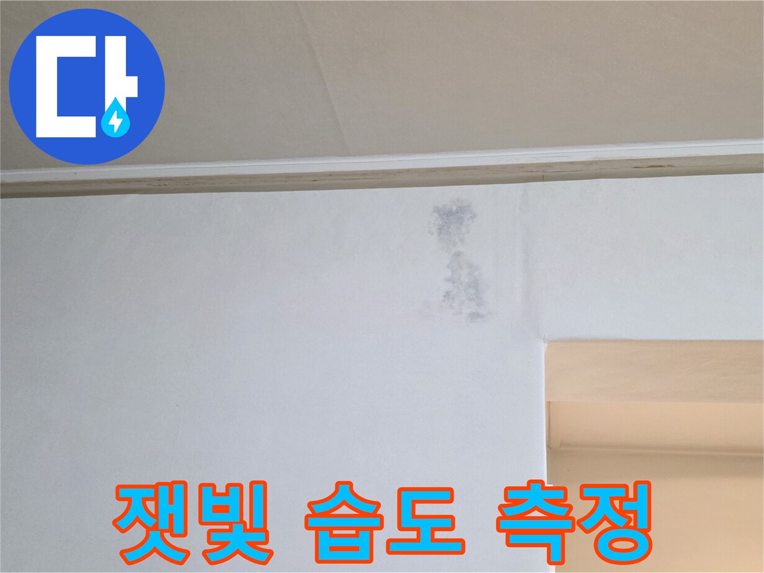 잿빛 꽃 습도 측정 - 누수 & 곰팡이 정밀 검사