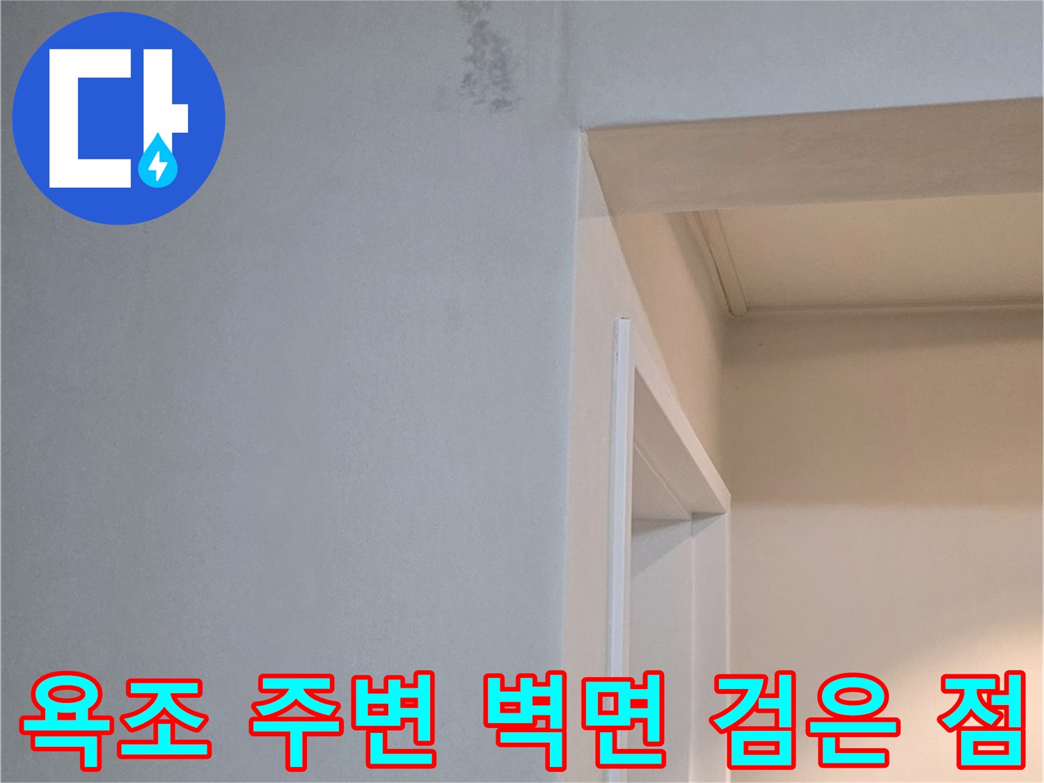 포천 일동 기산리 아파트 욕조 주변 벽면 검은 점 - 곰팡이 초기 증상 및 누수 가능성