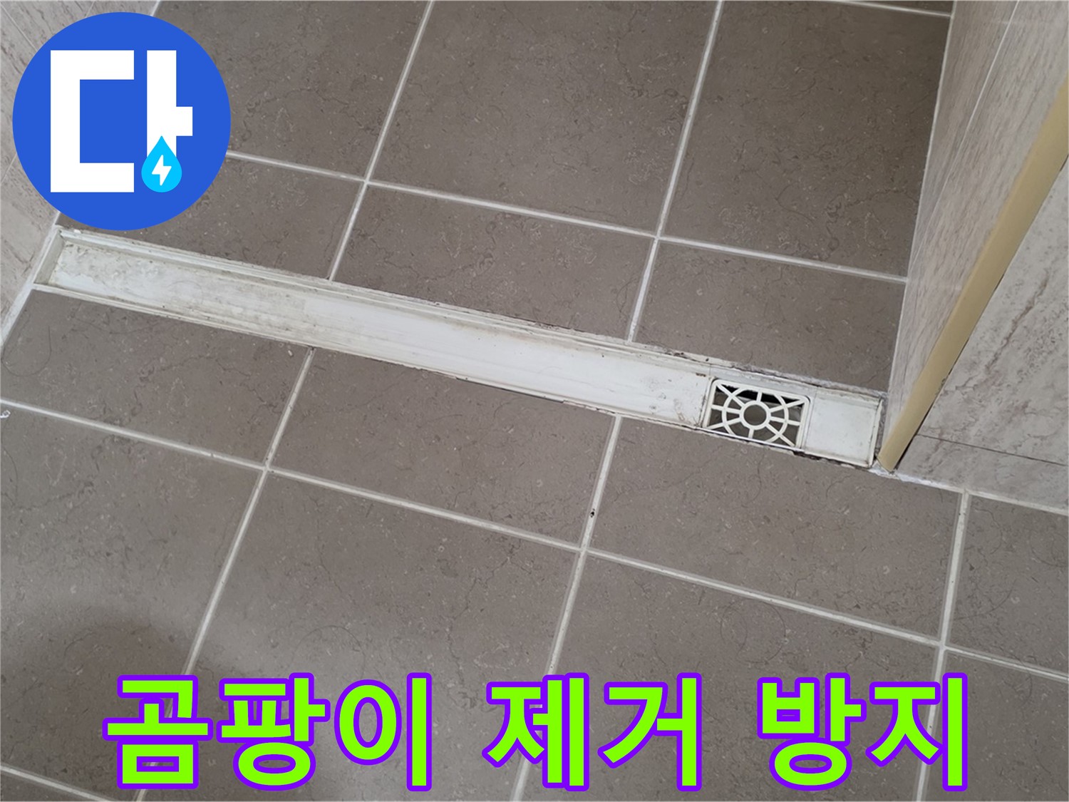 포천 일동 기산리 욕실 - 트렌치 배수구 주변 곰팡이 완벽 제거 및 방지