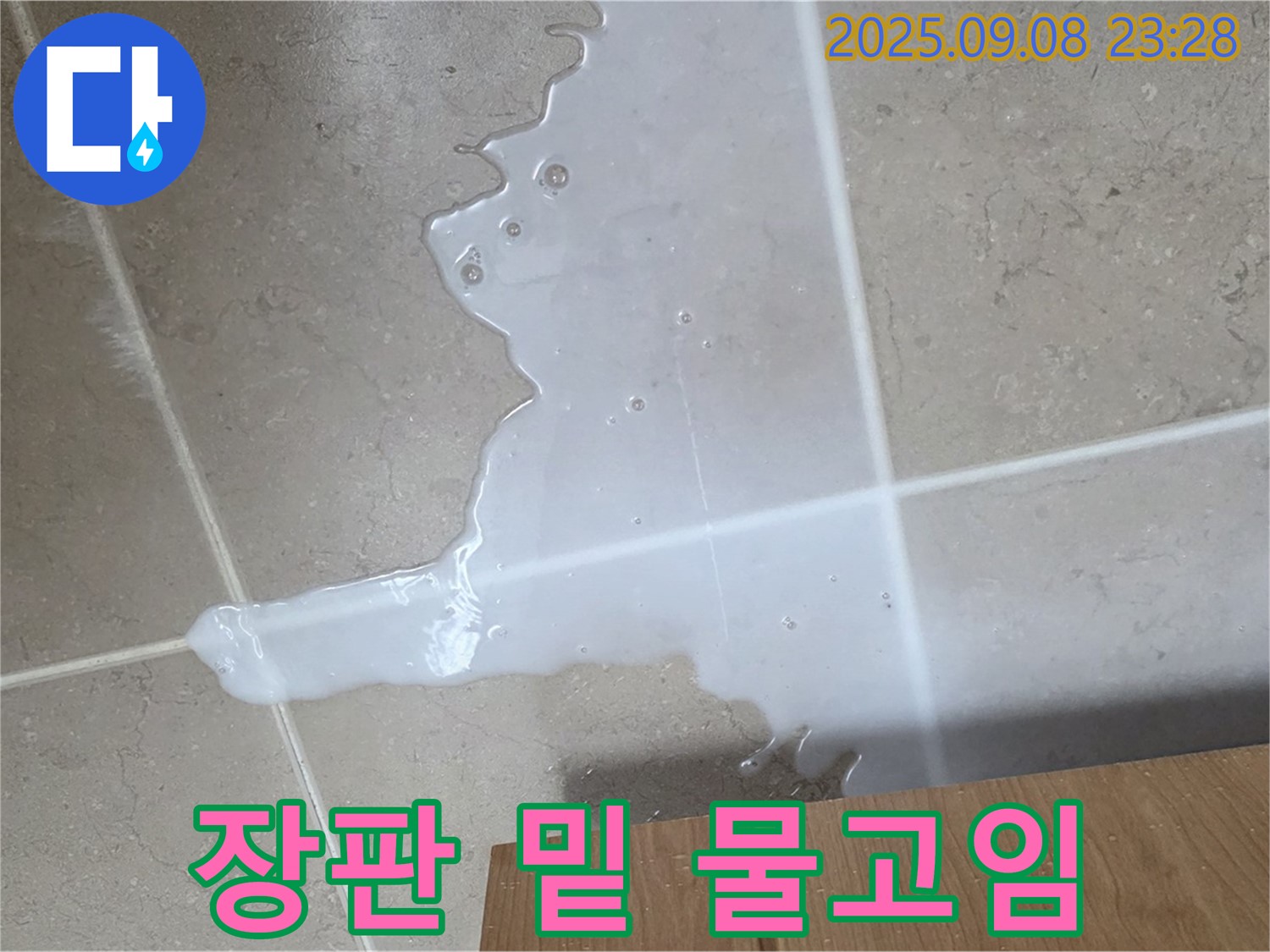 포천 일동 기산베스트빌 아파트 - 장판 밑 물고임 현장, 꼼꼼한 누수 점검으로 해결