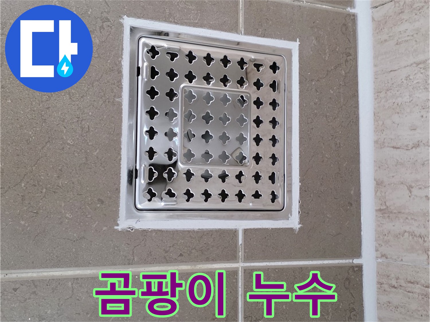 포천 일동 누수 - 욕실 배수구 주변 곰팡이 발생 원인 분석 및 누수와의 연관성