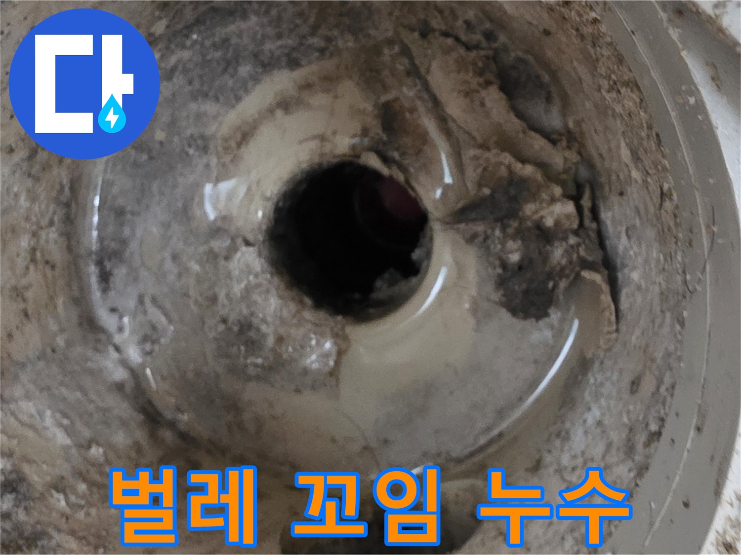 포천 일동 - 누수와 벌레 꼬임, 베란다 배수구 문제 해결! 쾌적한 공간으로!
