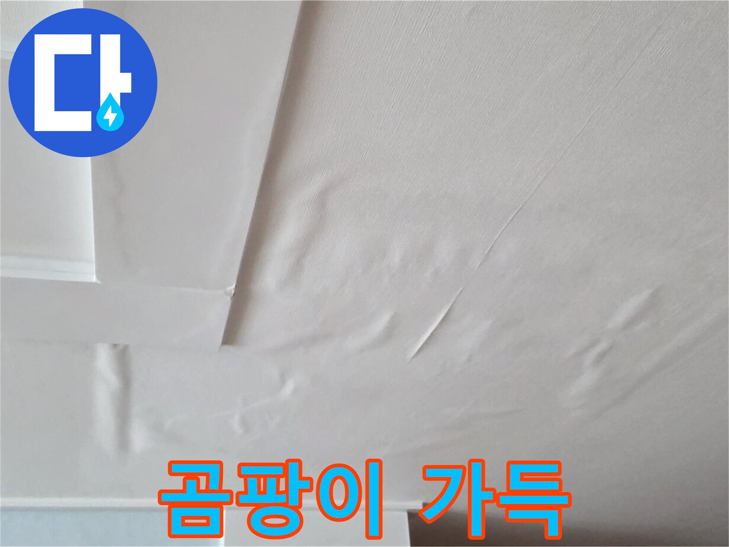 포천 일동 아파트 천장 누수 - 곰팡이 가득한 집 - 이사 고민