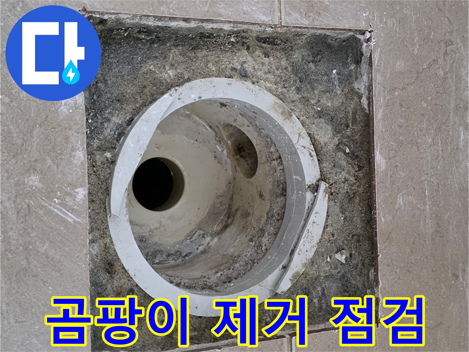 포천 일동 아파트 화장실 하수구 누수 - 곰팡이 제거 후 누수 점검 실시