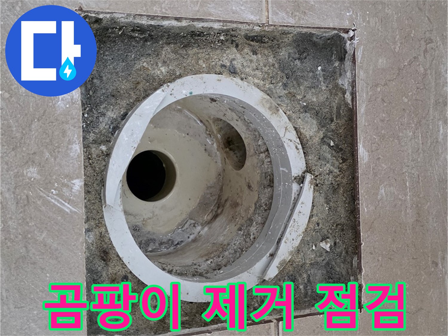 포천 일동 아파트 화장실 하수구 누수 - 곰팡이 제거 후 누수 점검 실시
