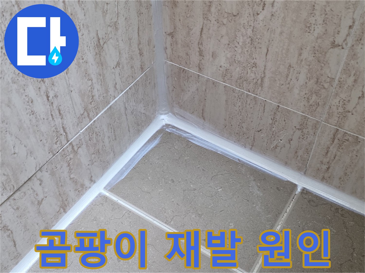 포천 일동 욕실 누수 - 곰팡이, 왜 계속 생길까요?
