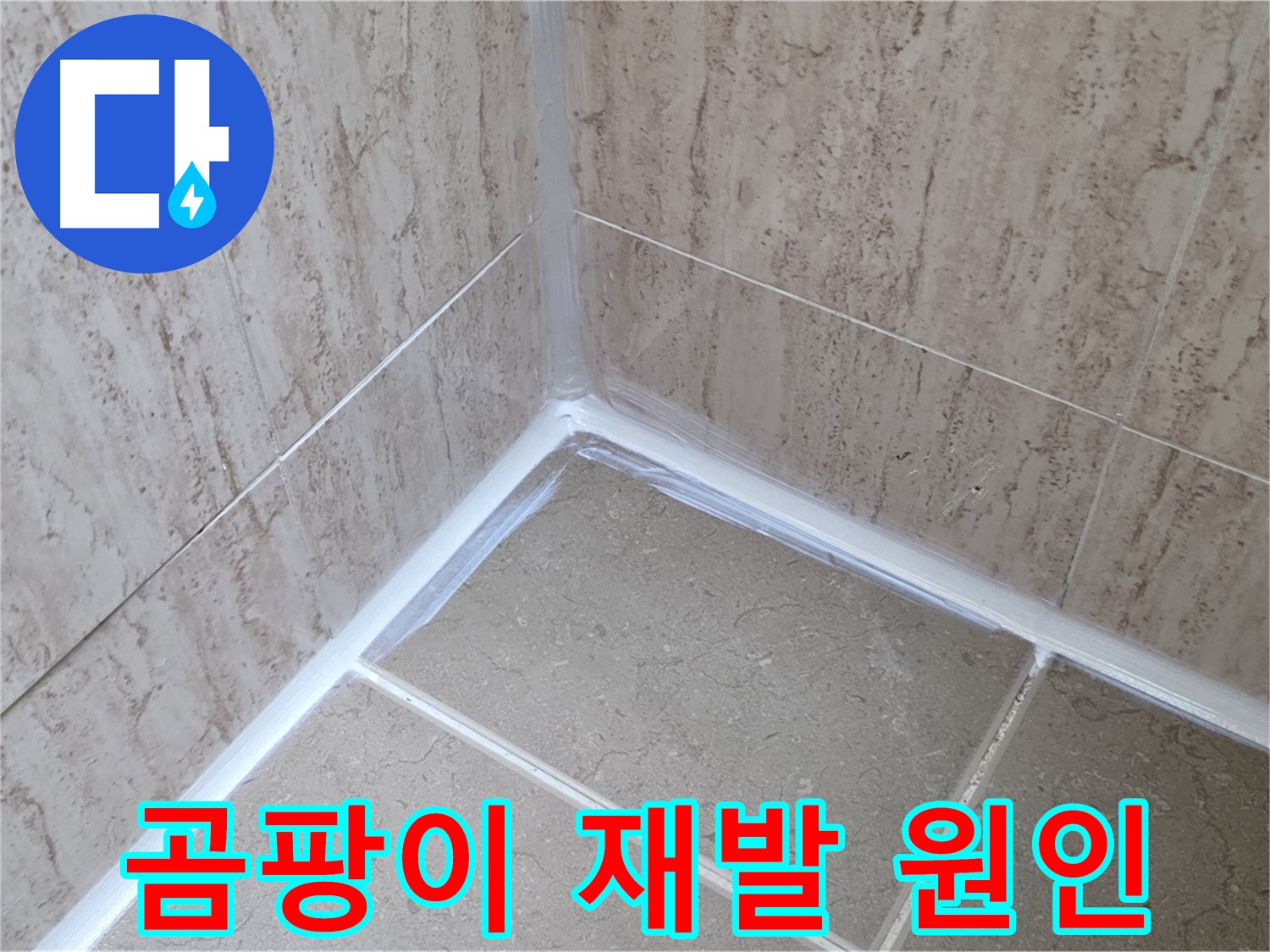 포천 일동 욕실 누수 - 곰팡이, 왜 계속 생길까요?