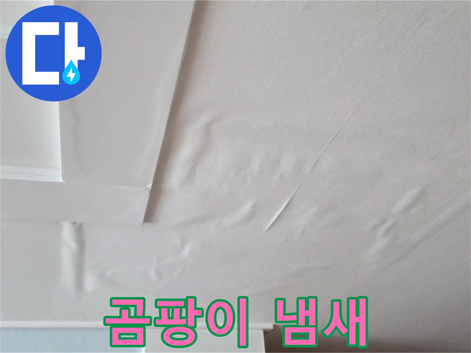 포천 일동 천장 누수 - 곰팡이 냄새와 건강 위협