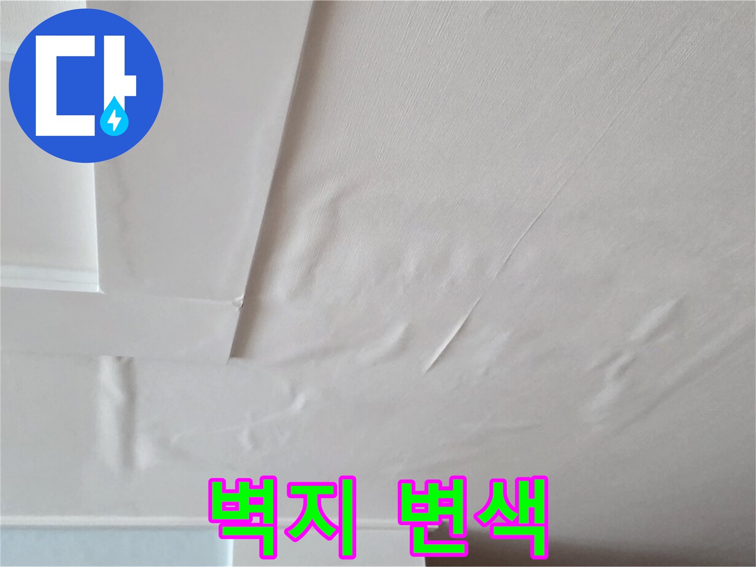 포천 일동 천장 누수 - 벽지 변색과 곰팡이 발생