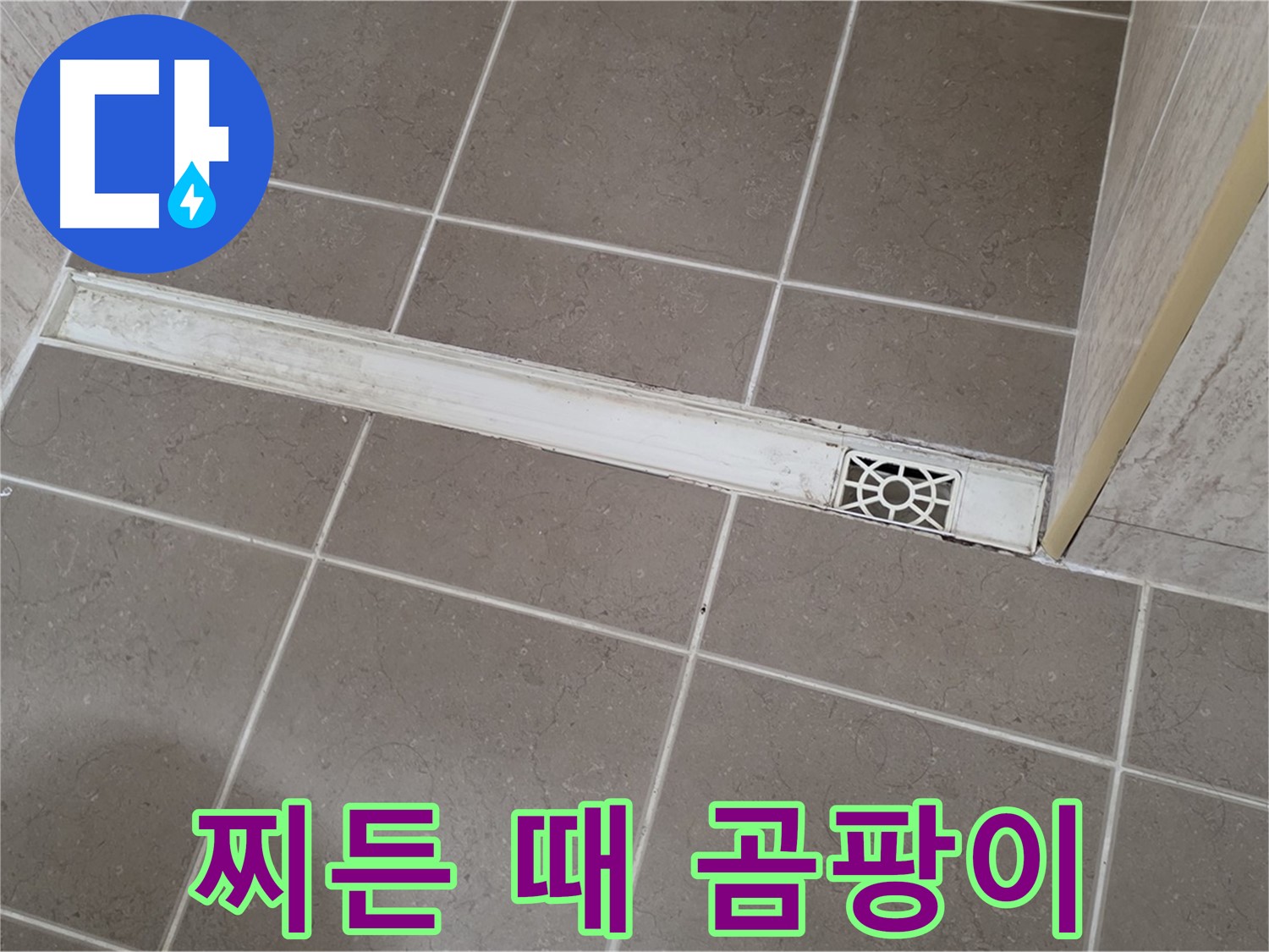 포천 일동면 기산리 욕실 - 트렌치 덮개 주변 찌든 때와 곰팡이 심각