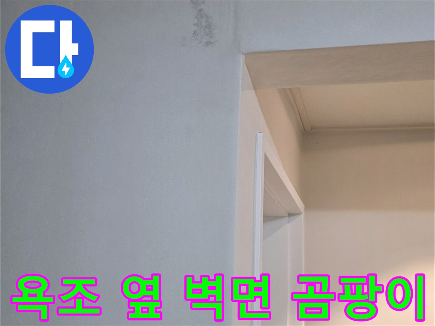 포천시 일동면 기산리 아파트 욕조 옆 벽면 곰팡이 - 건강 위협 및 꼼꼼한 제거