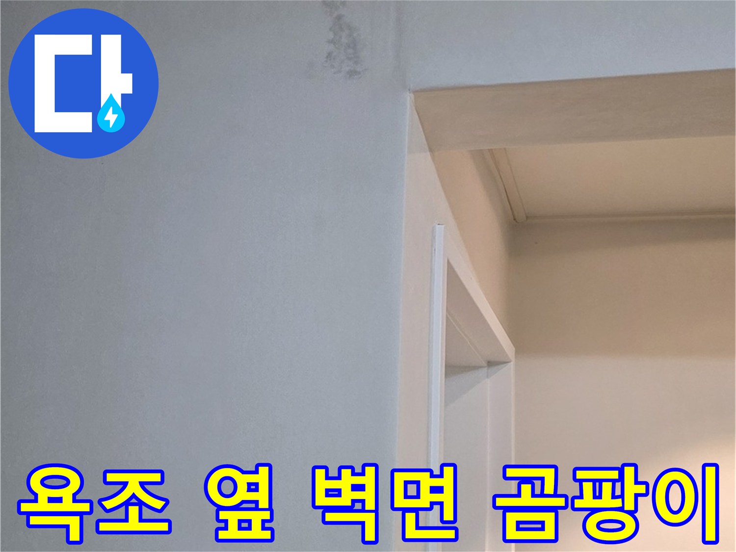 포천시 일동면 기산리 아파트 욕조 옆 벽면 곰팡이 - 건강 위협 및 신속한 점검