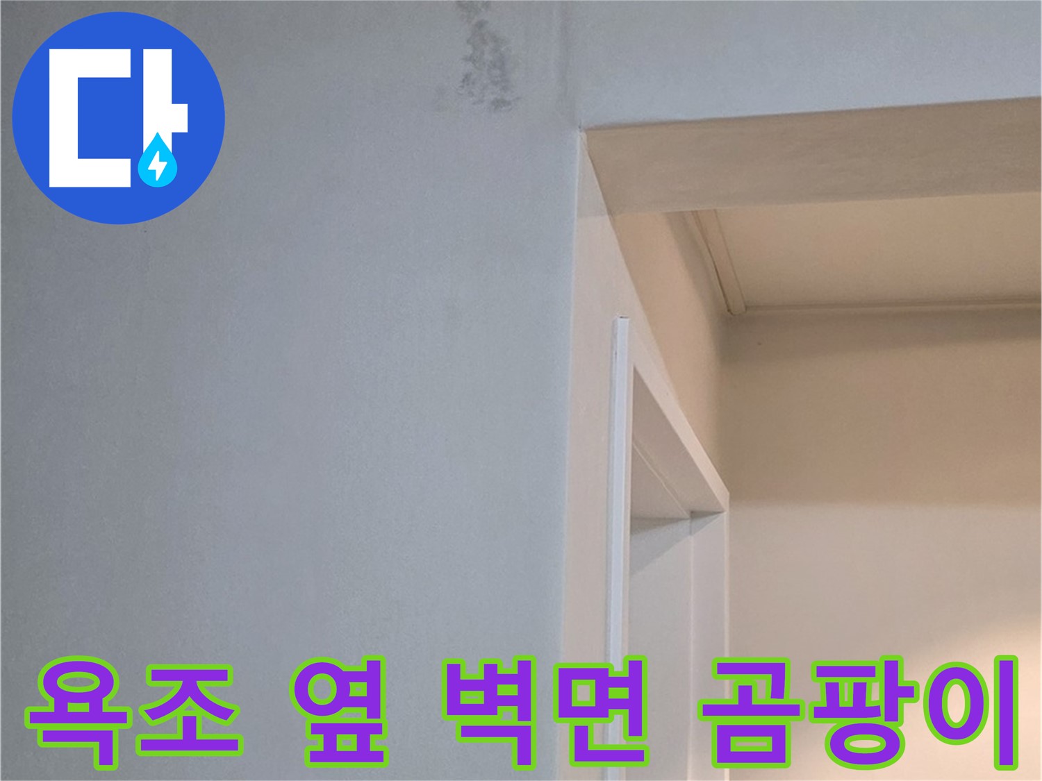 포천시 일동면 기산리 아파트 욕조 옆 벽면 곰팡이 - 숨겨진 누수 가능성 진단