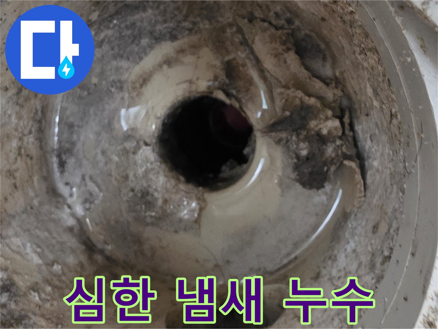 포천시 일동면 기산베스트빌 아파트 - 베란다 배수구 냄새, 누수 때문일 가능성 확인!