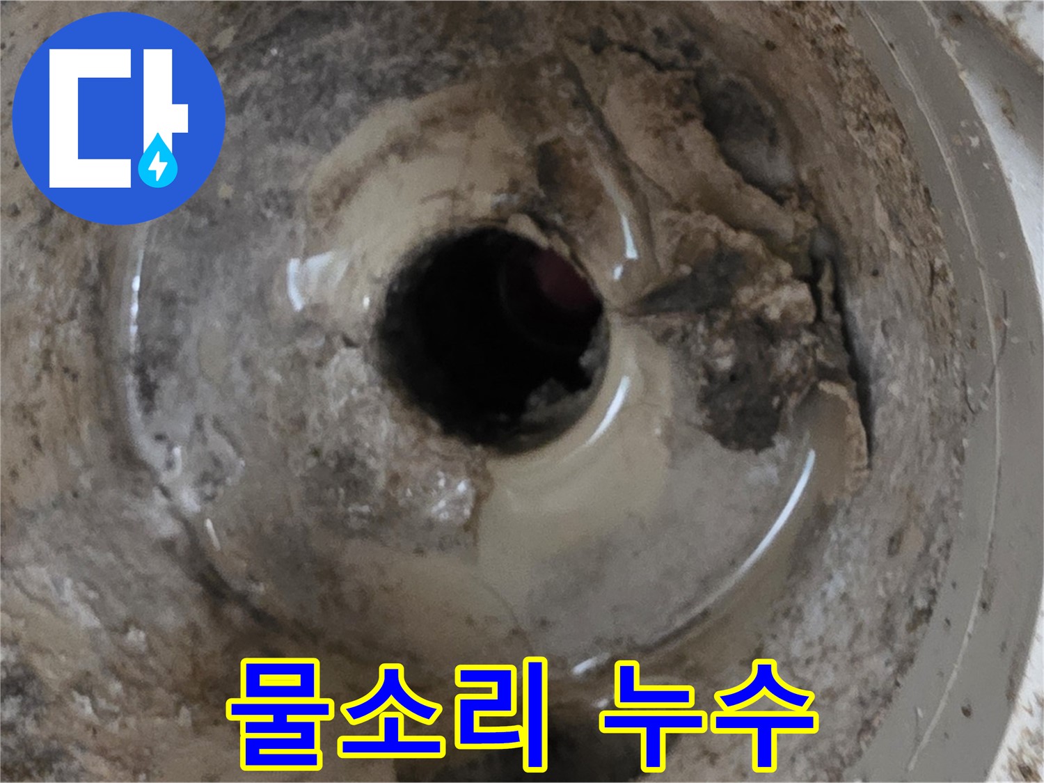 포천시 일동면 기산베스트빌 아파트 - 베란다 배수구 물 새는 소리, 누수 가능성 진단!