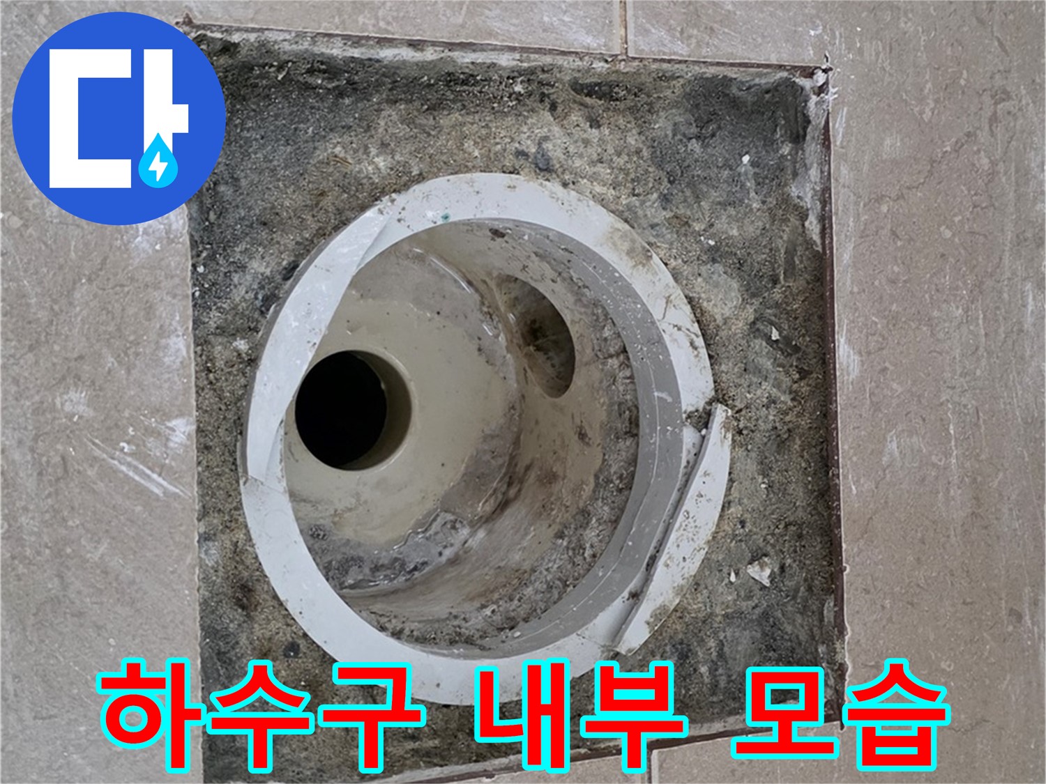 포천시 일동면 기산베스트빌 아파트 화장실 하수구 누수 - 하수구 내부 상세 모습