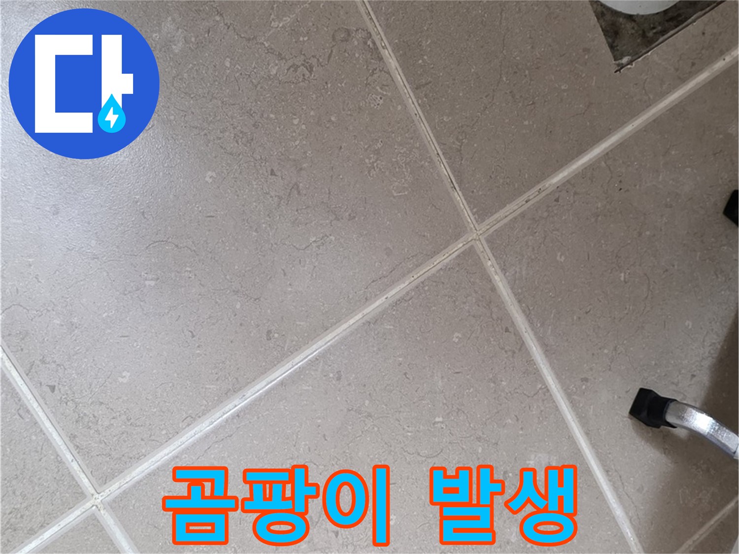포천시 일동면 운악청계로 욕실 배수구 주변 곰팡이 발생 확인 - 습한 환경이 지속되면 발생합니다.