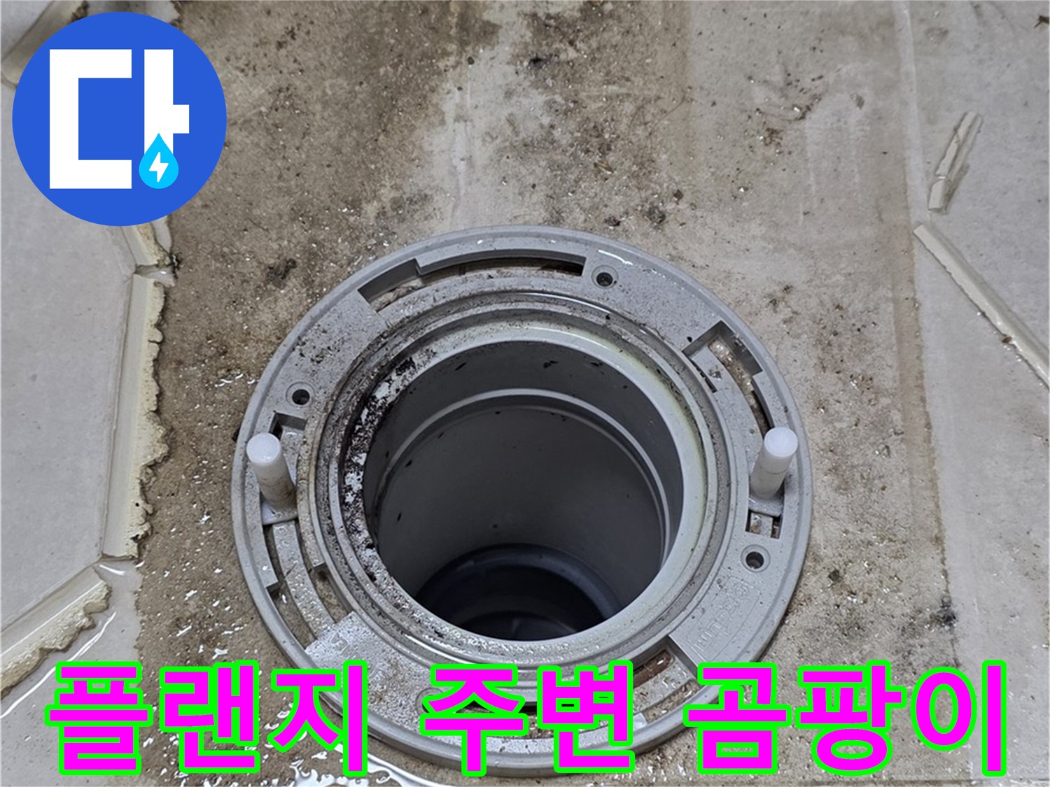변기 플랜지 주변 누수 흔적 - 곰팡이 발생으로 누수 심각성을 알 수 있습니다.