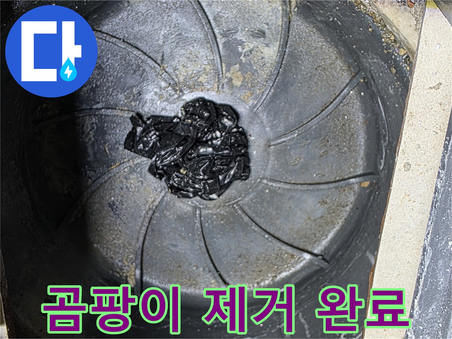 세탁기 배수구 - 곰팡이 찌꺼기 완벽 제거!