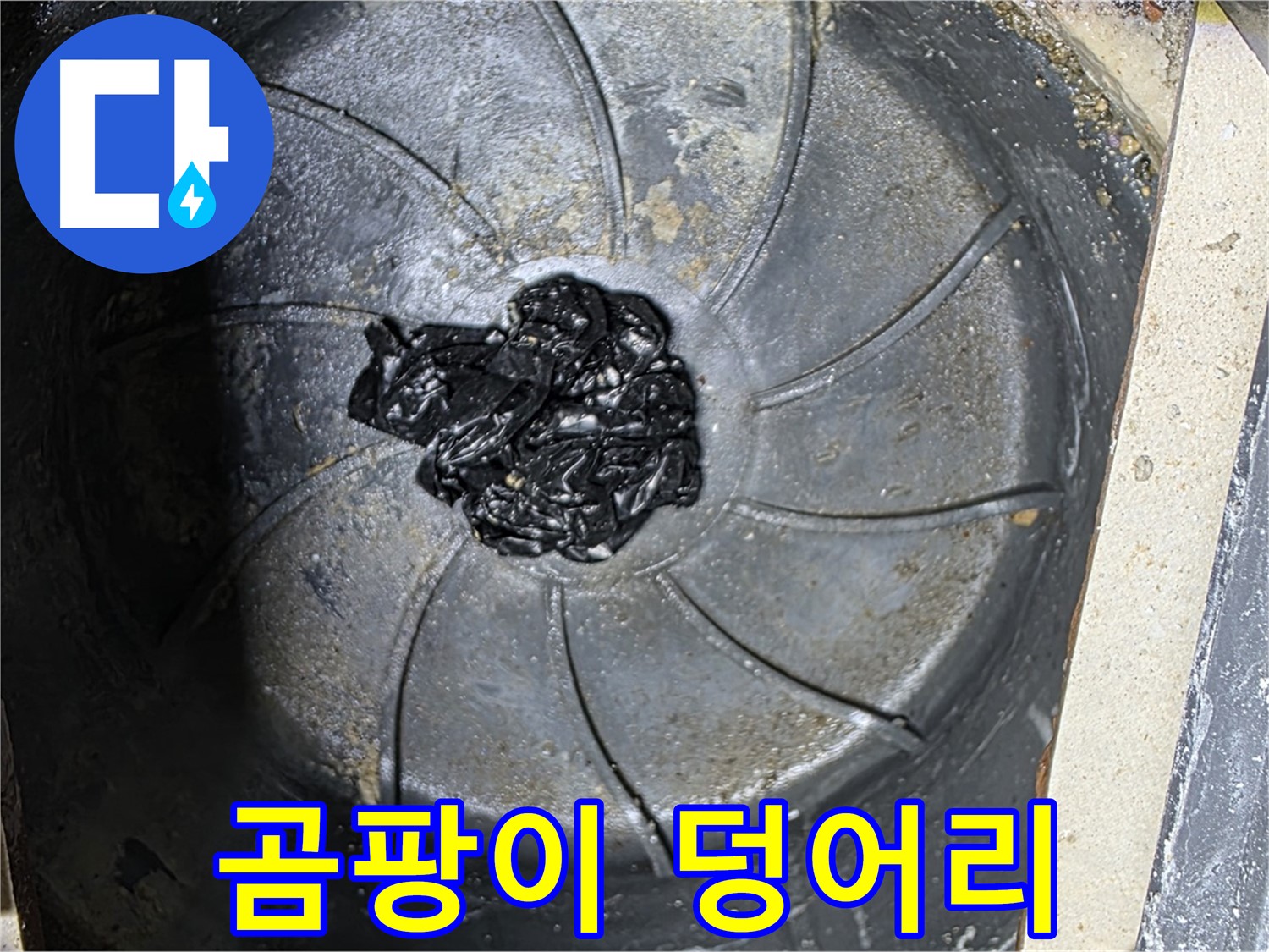 세탁기 배수구 - 혐오스러운 곰팡이 덩어리 발견!