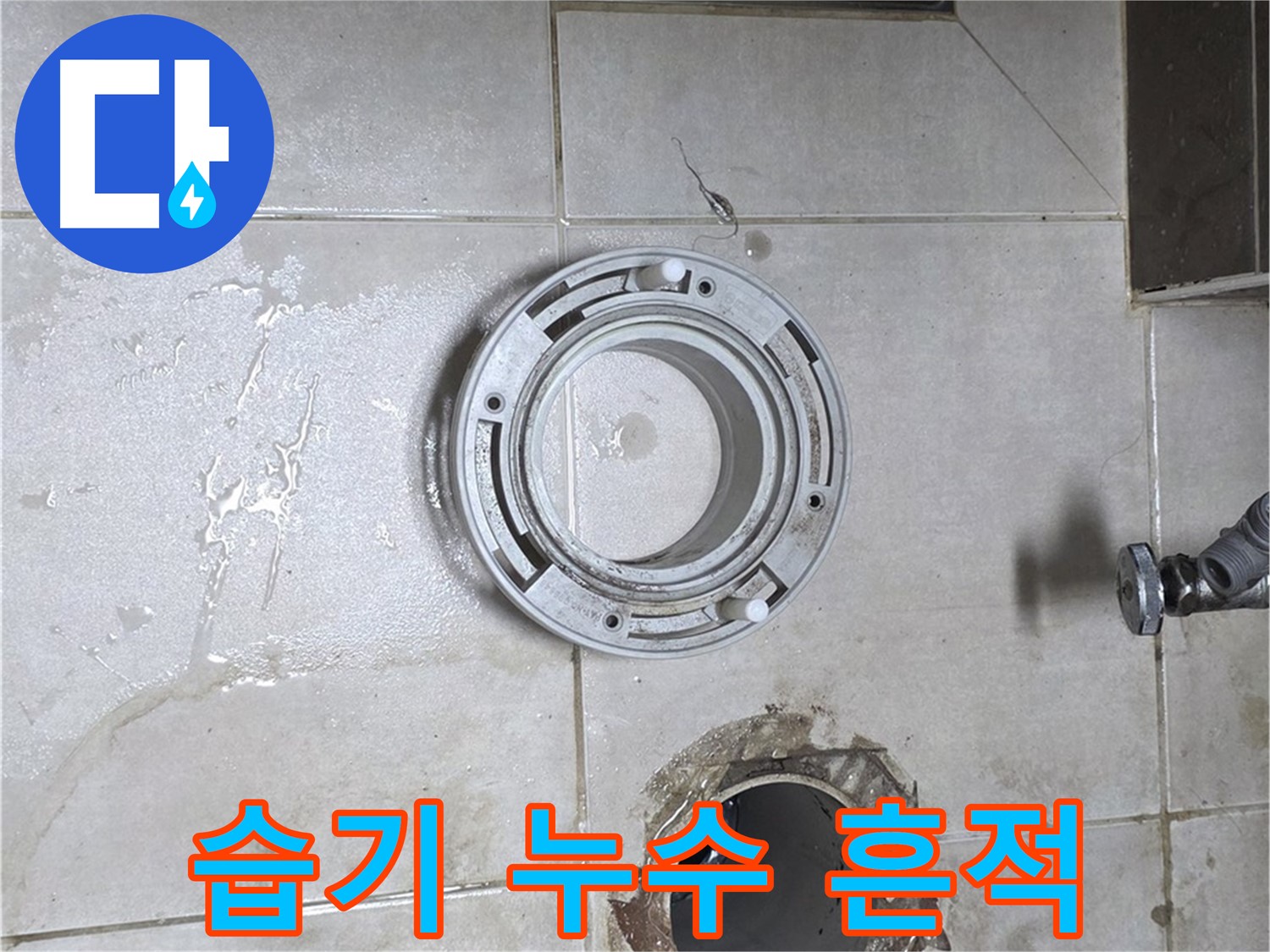 양주 옥정 아파트 변기 누수 - 배관 주변 습기, 누수 흔적 확인