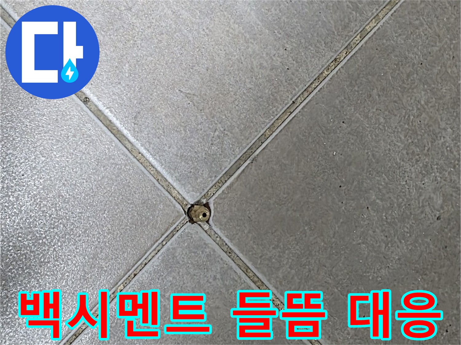 양주 옥정 율정마을 13단지 아파트 타일 틈새 백시멘트 들뜸 - 누수 초기 대응 과정입니다.