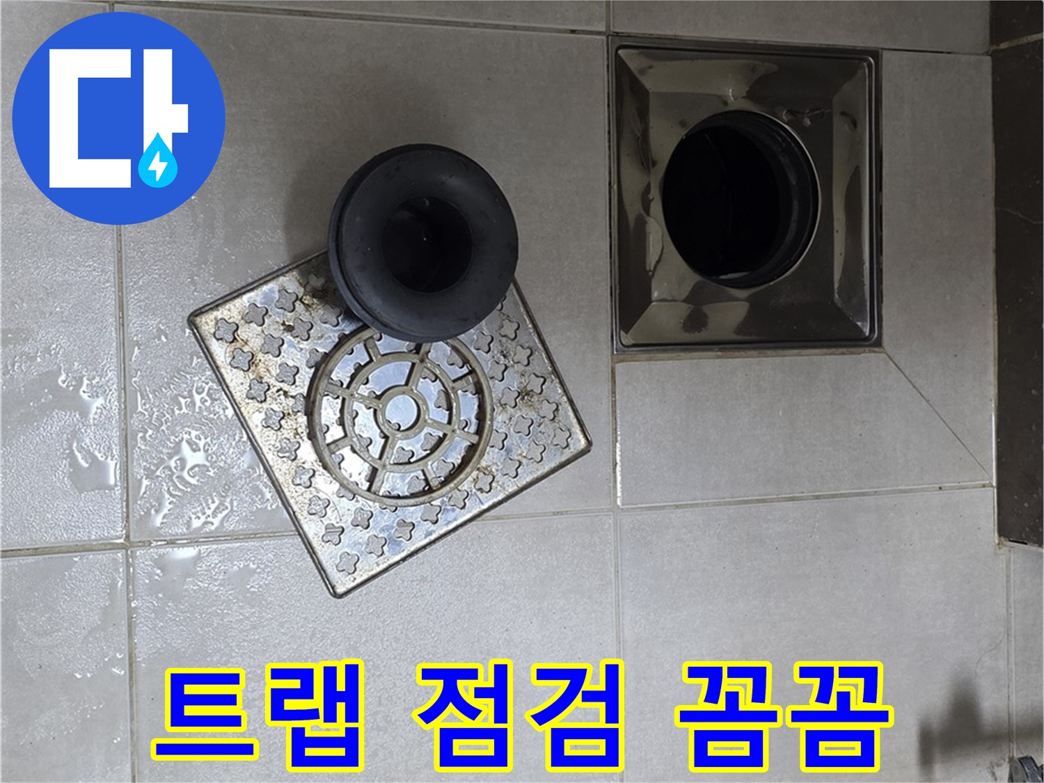양주 옥정 율정마을 아파트 욕실 누수 해결 - 배수구 트랩 점검으로 문제 해결 시작