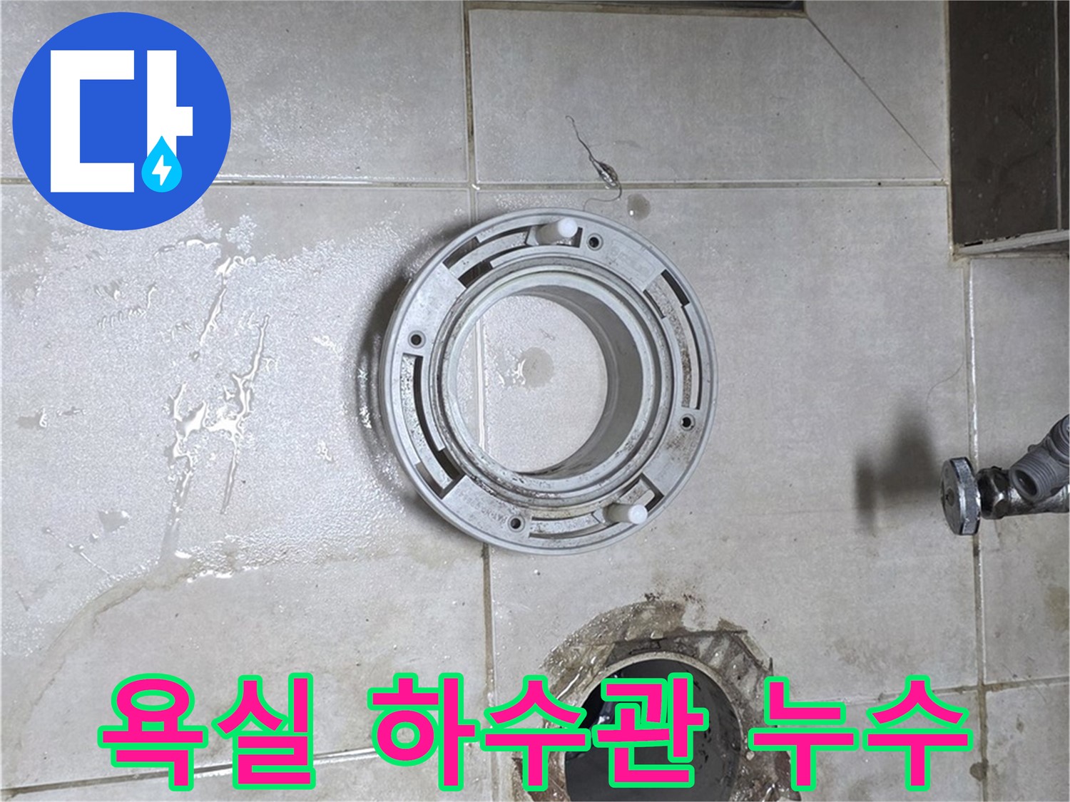 양주 옥정 율정마을 아파트 욕실 하수관 누수 - 누수 문제 해결 전문가의 완벽 차단